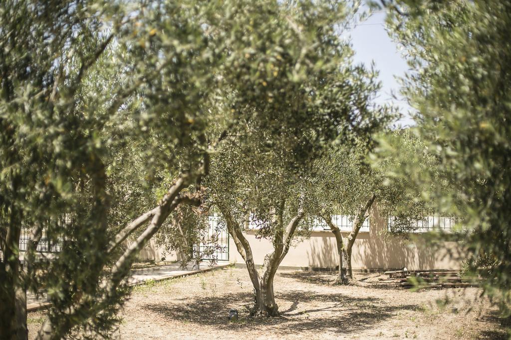 Olive Tree Apartments Fourka Exterior photo